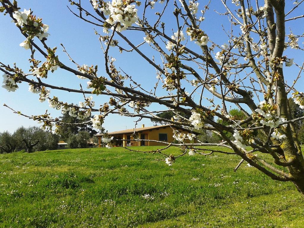 Casa Vacanze Vigna Di Valle Bracciano  Exterior photo
